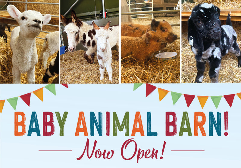 Baby Animal Barn - Now open