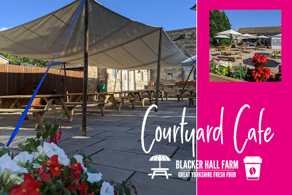 The Courtyard Cafe! Blacker Hall Farm