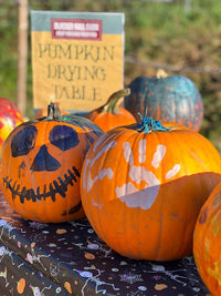 Pumpkin picking & painting