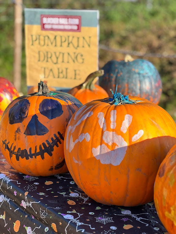Pumpkin picking & painting