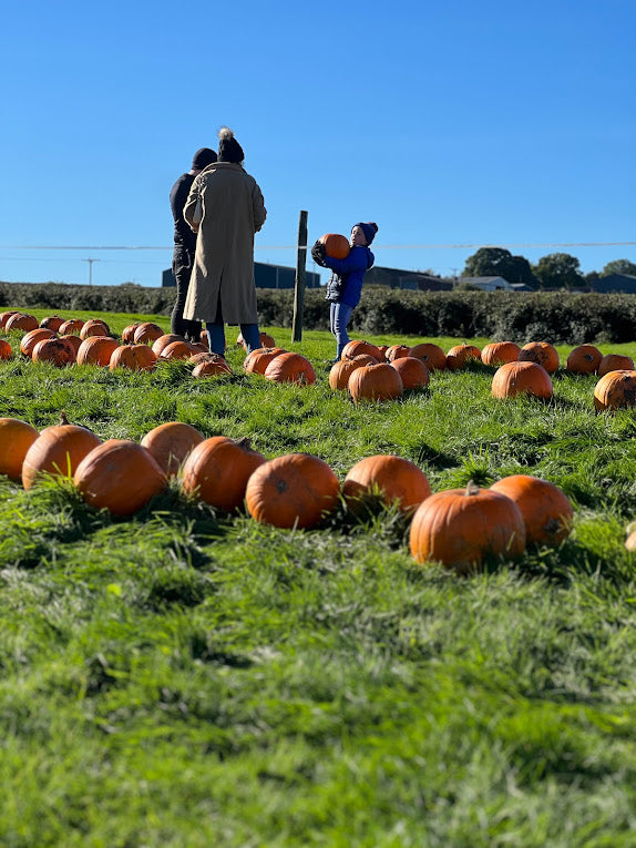 Pumpkin picking & painting