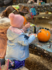 Pumpkin picking & painting