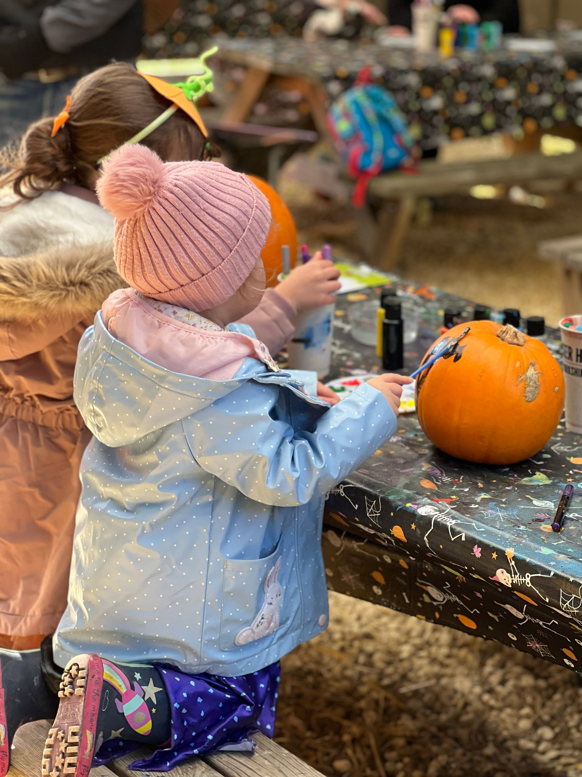 Pumpkin picking & painting