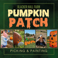 Pumpkin picking & painting