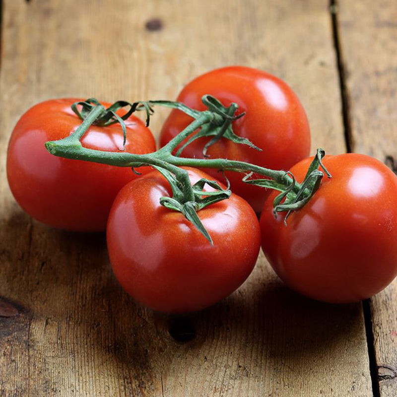 Vine Tomatoes - 500g