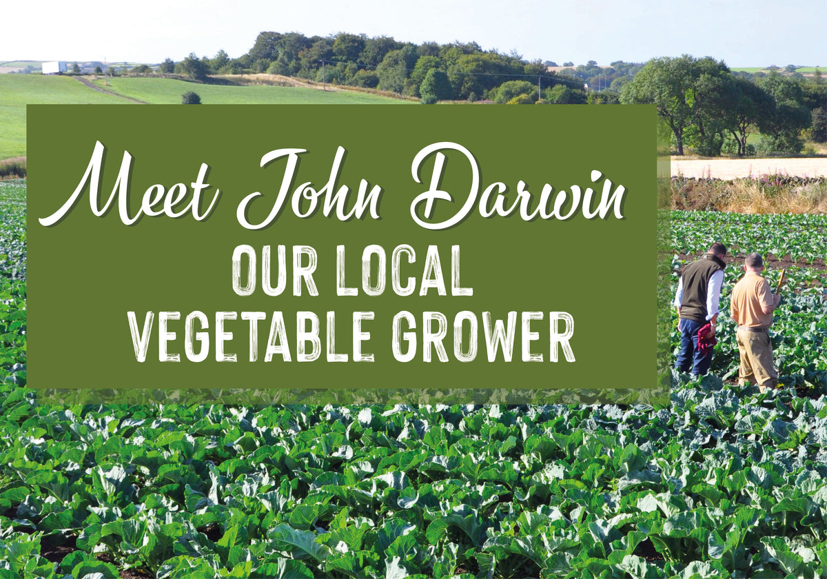Meet our local Vegetable Farmer