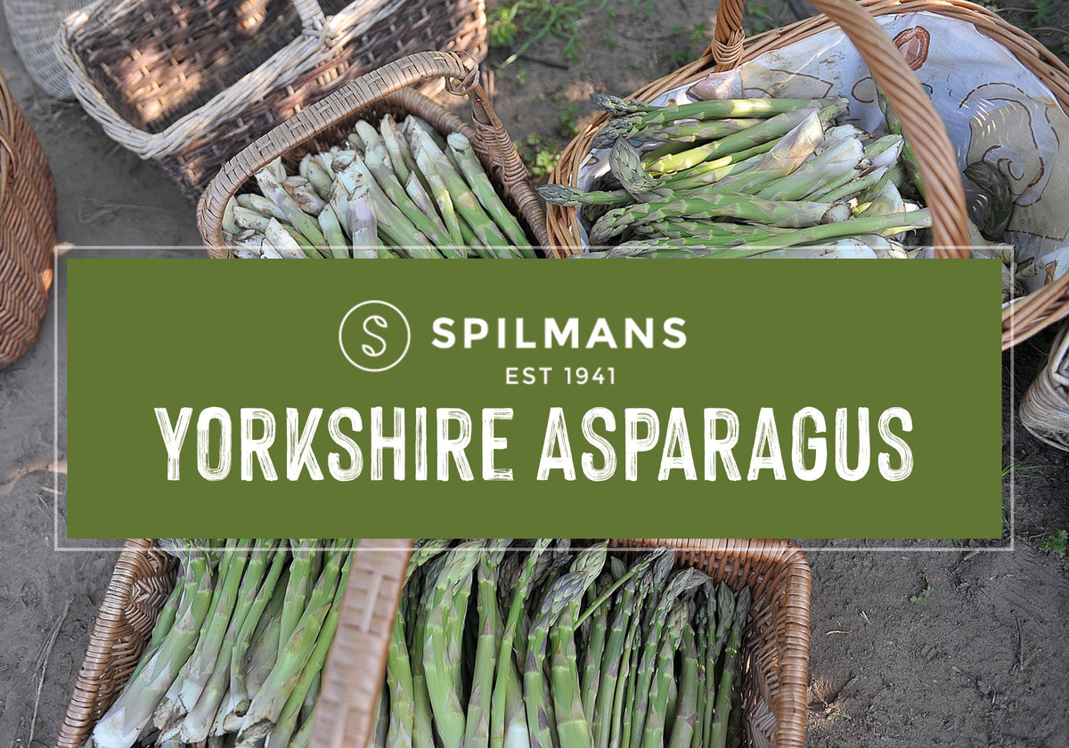 LOCAL YORKSHIRE ASPARAGUS IS HERE!
