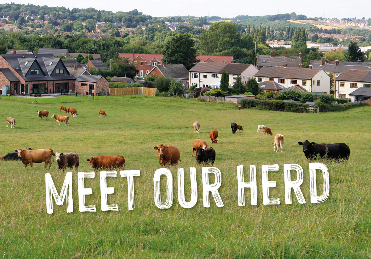 IT'S BRITISH BEEF WEEK