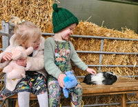 Baby and small animal Experience