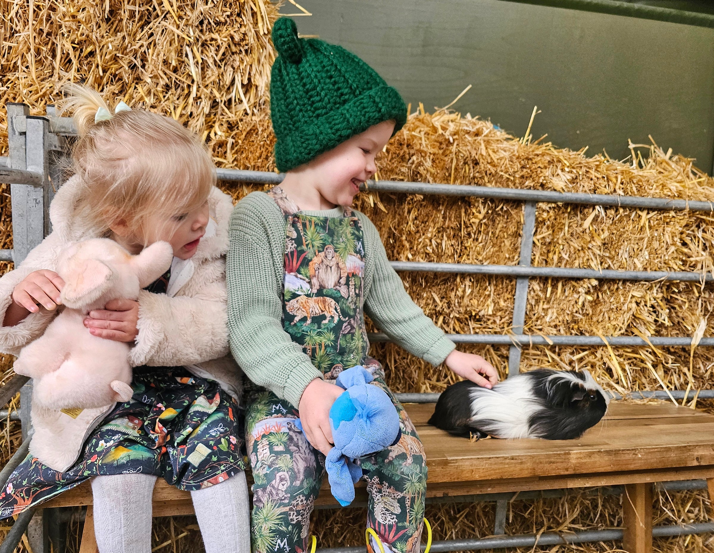 Baby and small animal Experience