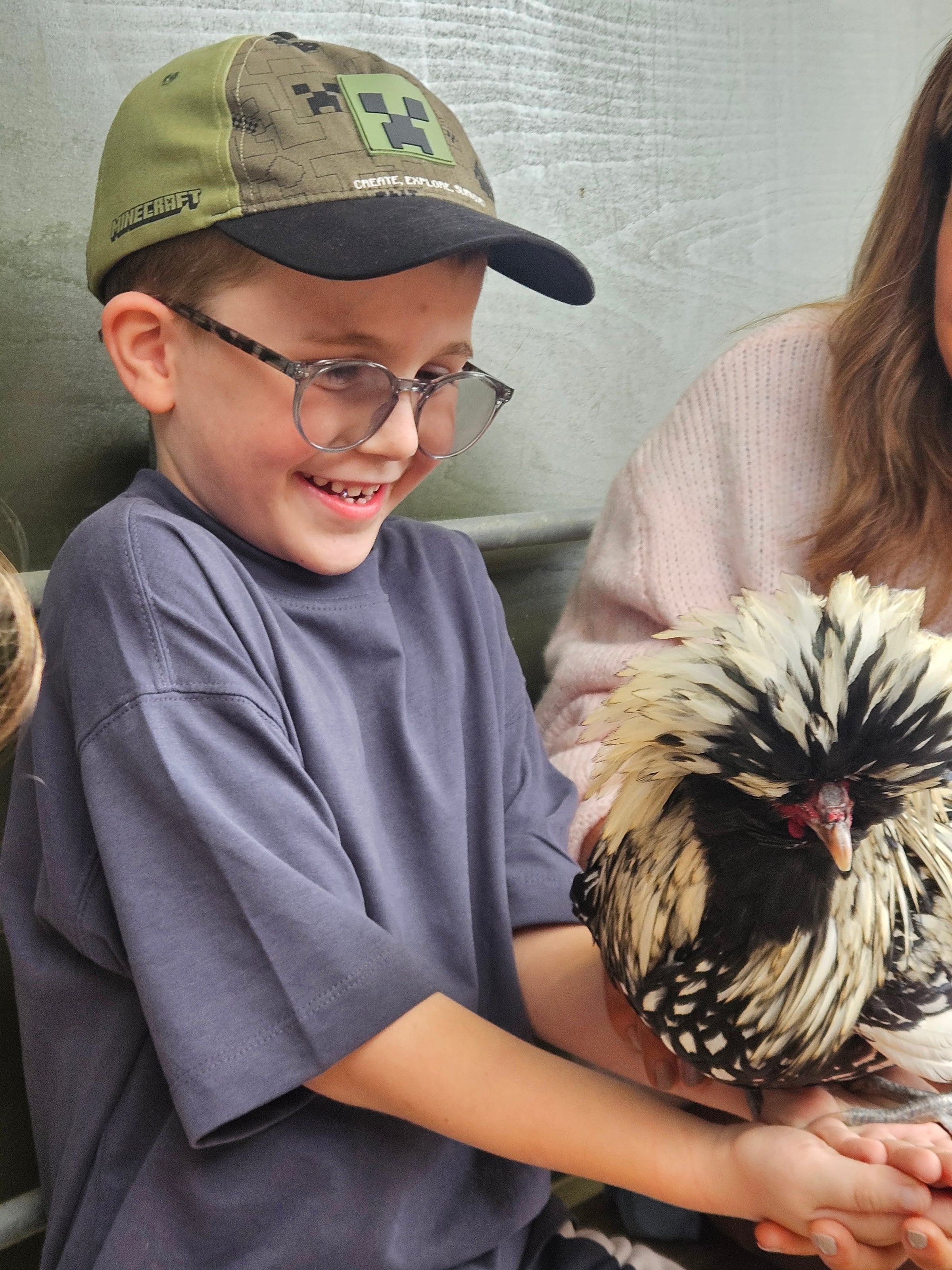 Baby and small animal Experience