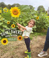 Sunflower Field & Little Farmers Entry