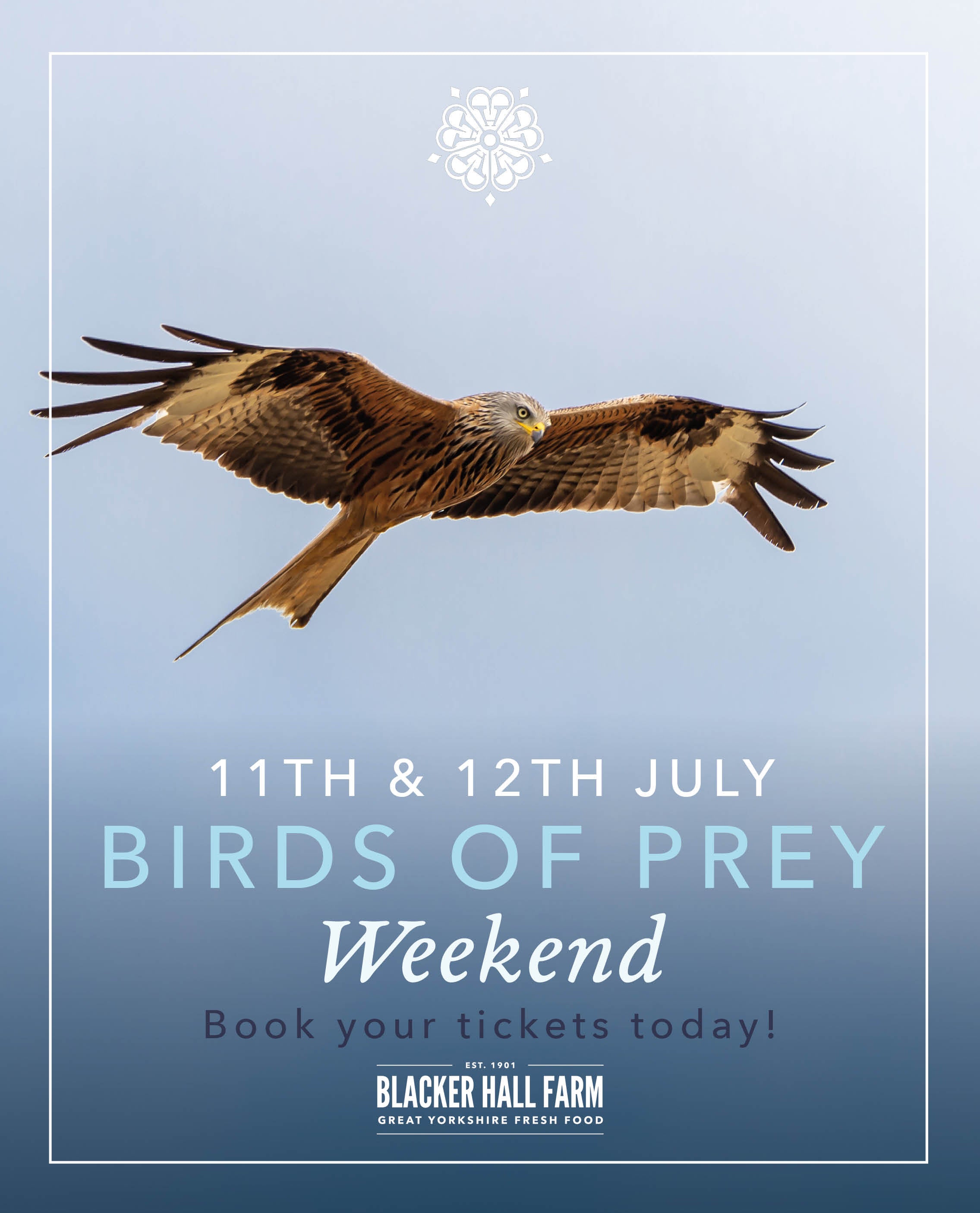 Bird of Prey Weekend (Sat 11th & Sun 12th July)