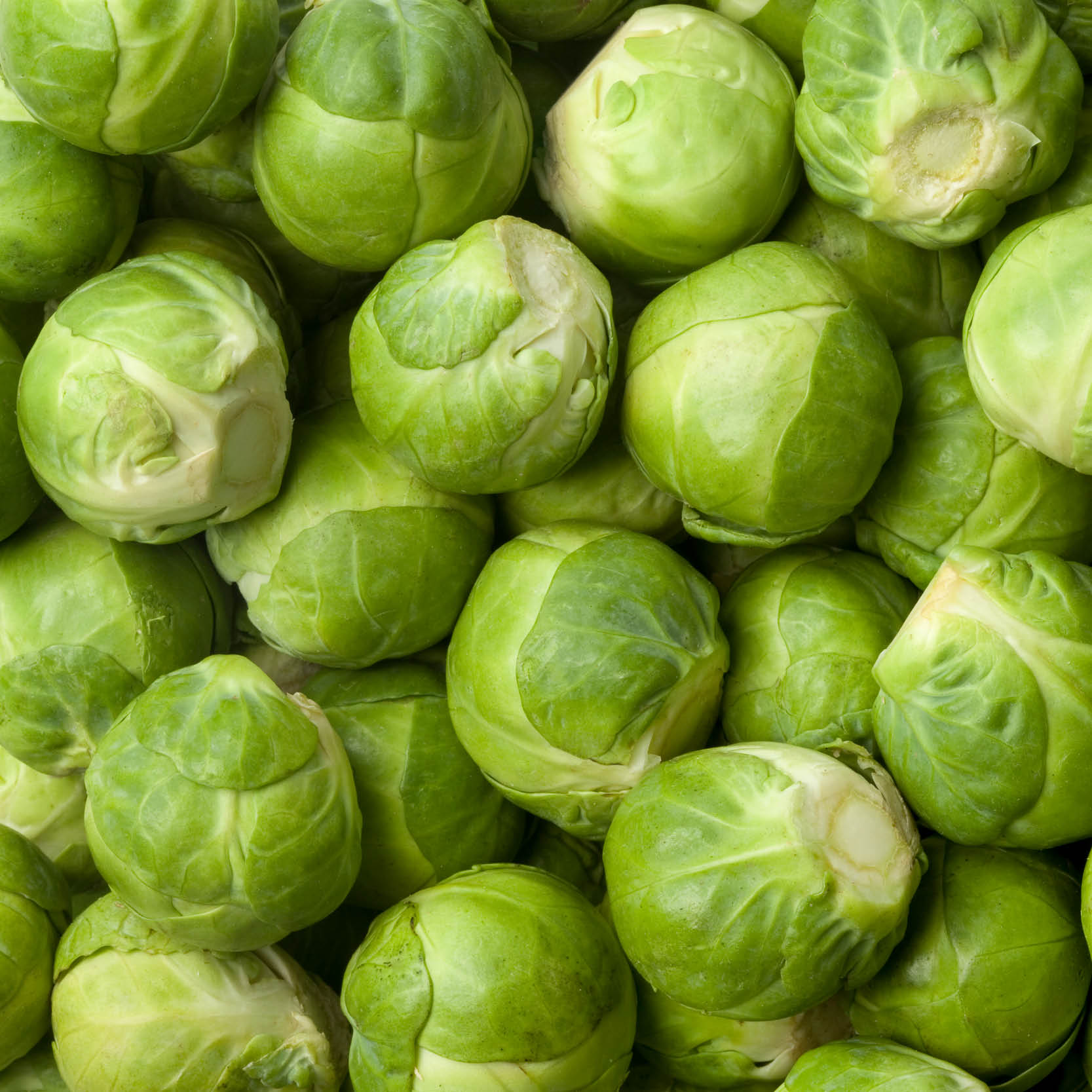 Brussel Sprouts