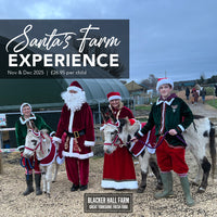 Santa's Farm Experience