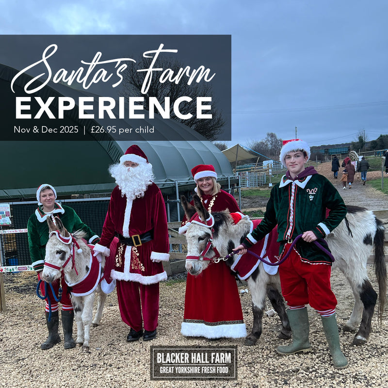 Santa's Farm Experience