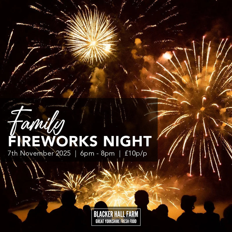 Family Fireworks Night