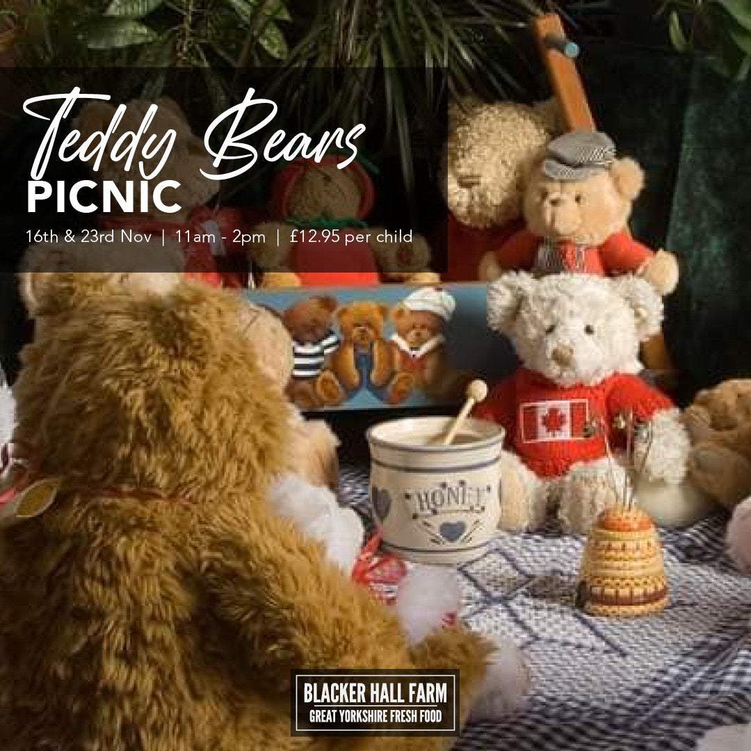 Teddy Bears Picnic
