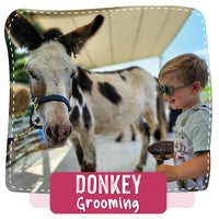 Donkey Grooming