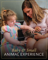 Baby and small animal Experience