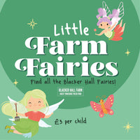 Magical Fairy Hunt