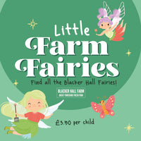 Magical Fairy Hunt