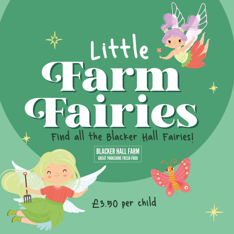 Magical Fairy Hunt
