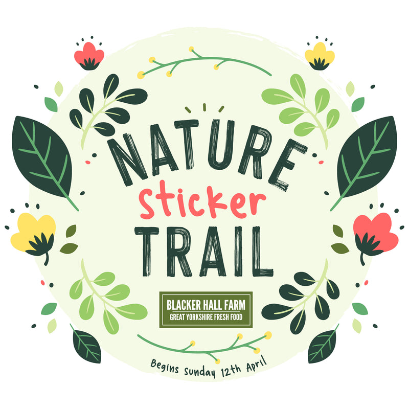 Nature Sticker Trail!