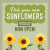 Sunflower Field & Little Farmers Entry