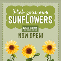 Sunflower Field & Little Farmers Entry