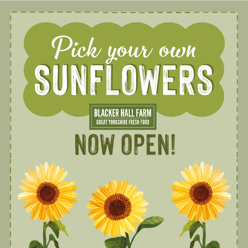 Sunflower Field & Little Farmers Entry
