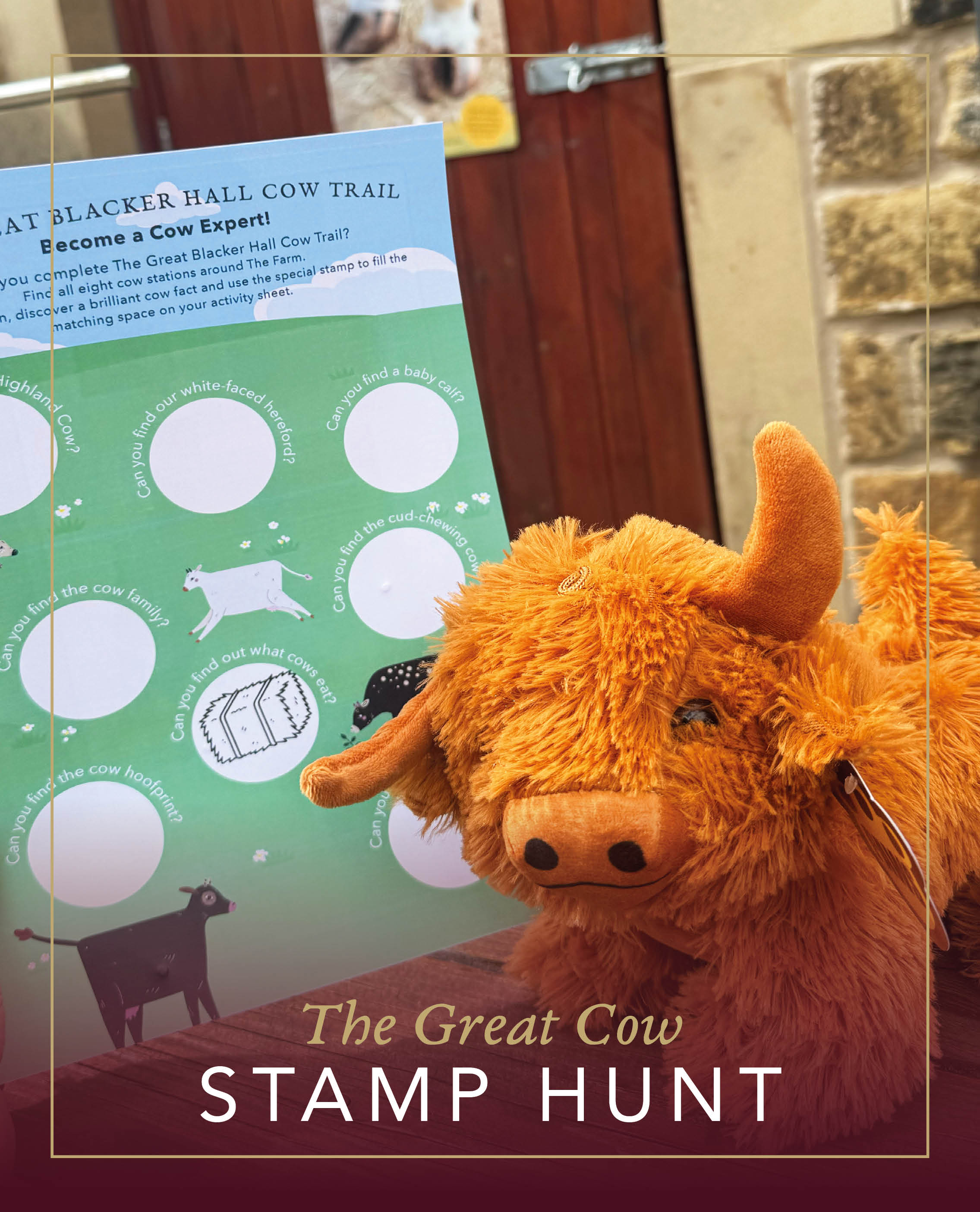 The Great Cow Stamp Hunt