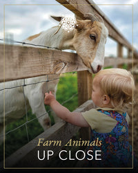 Farm animals up close Experience