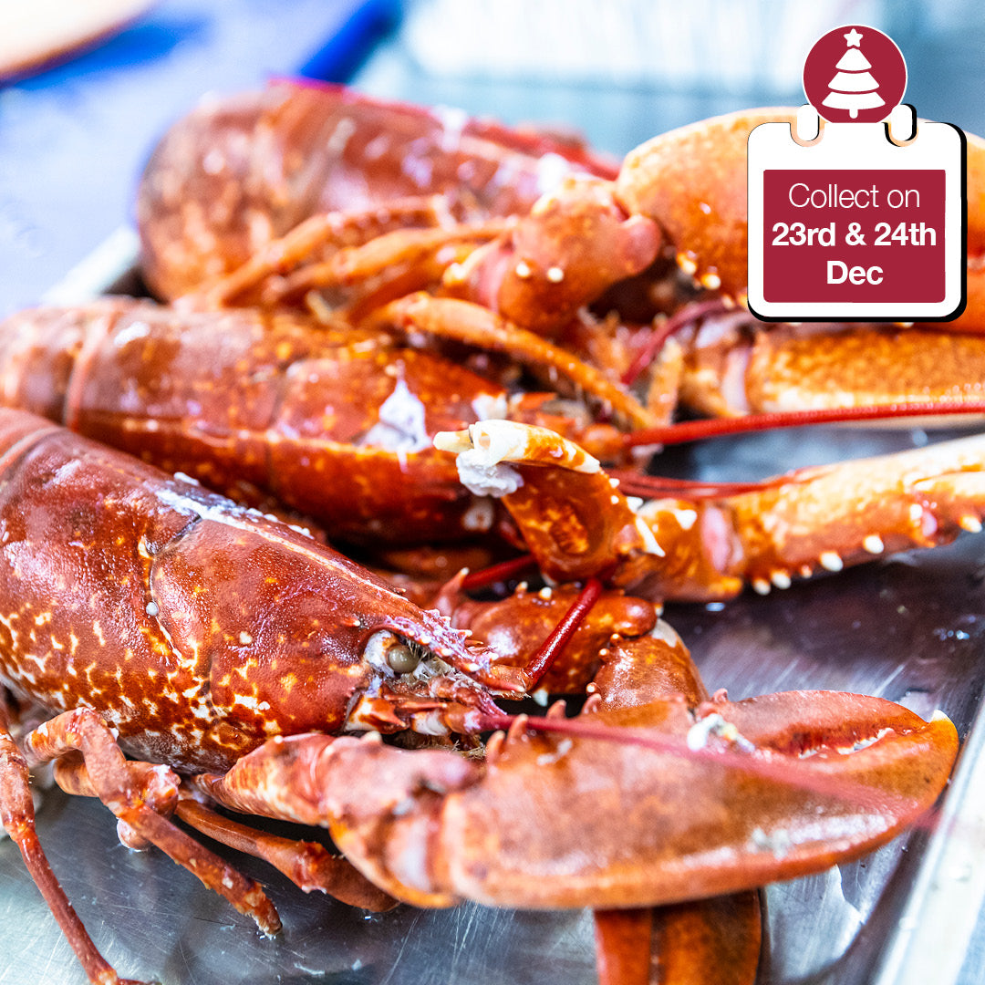 Whole Dressed Lobster