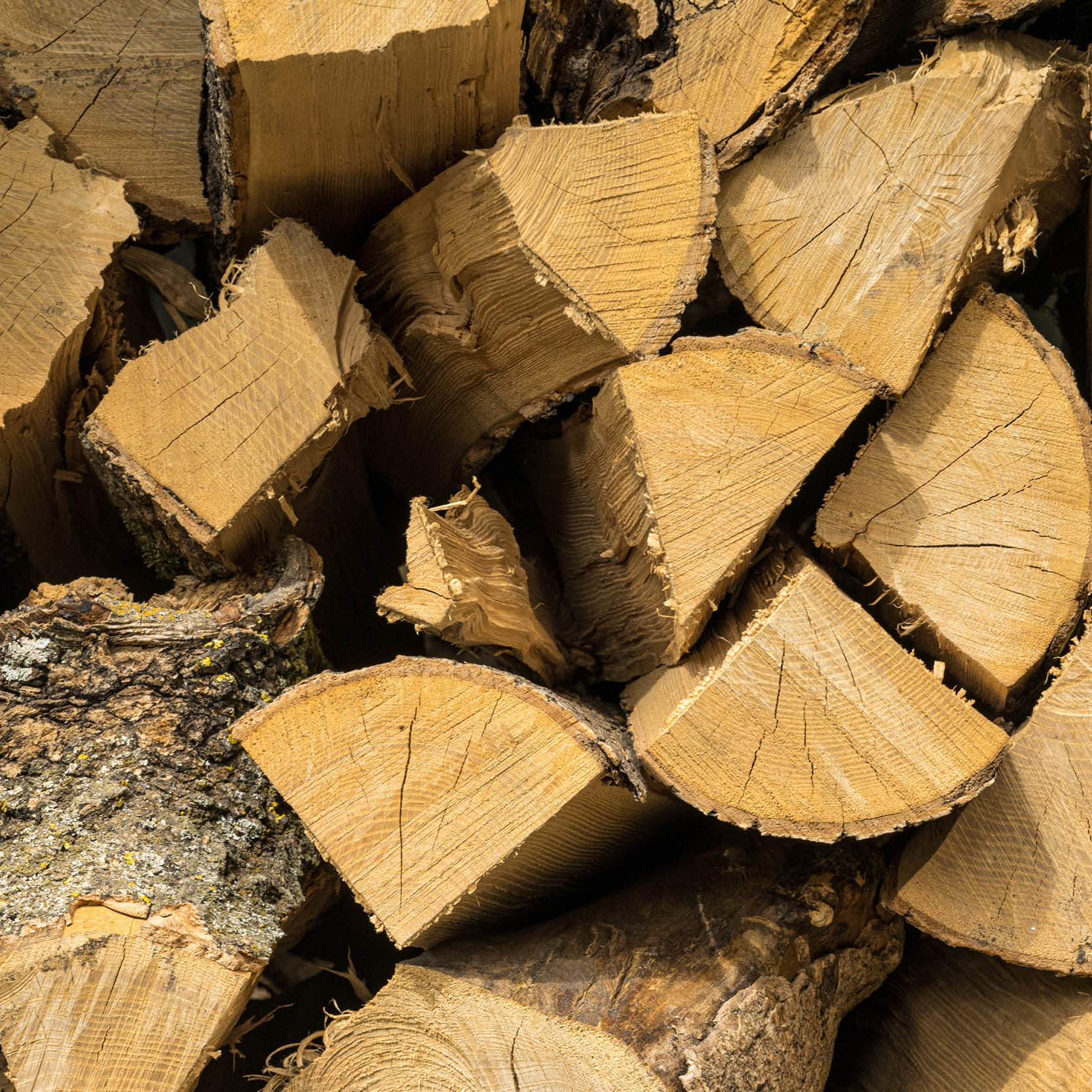 Logs (Kiln Dried)