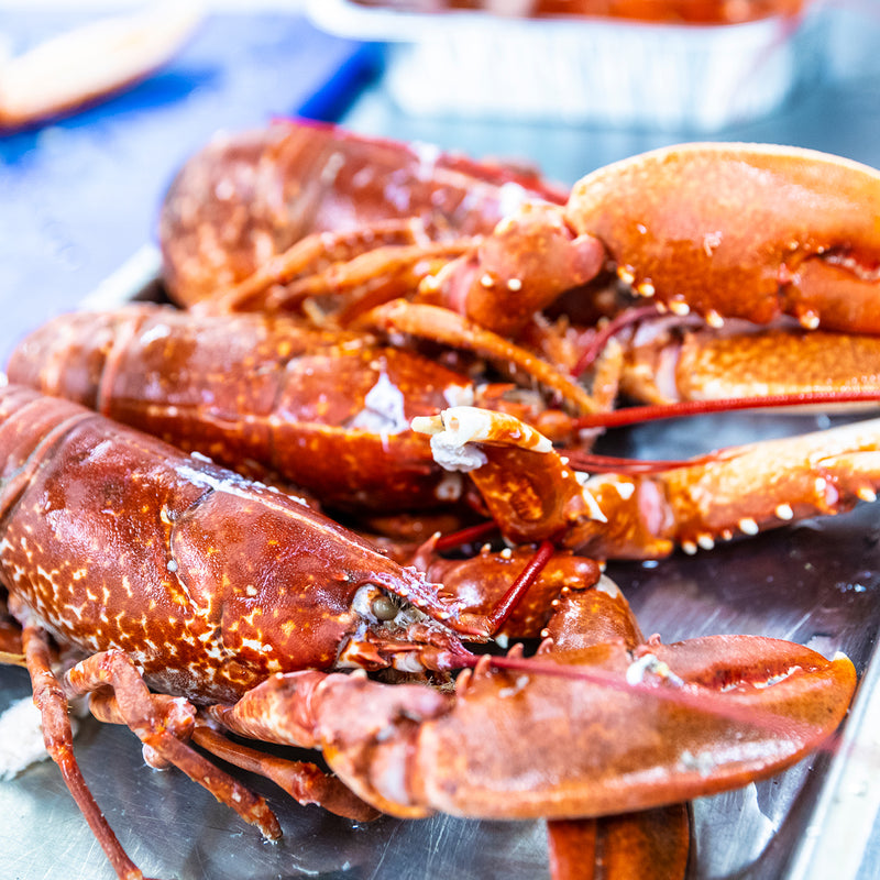 Love Lobster