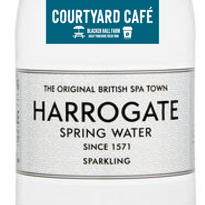 Sparkling Water