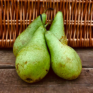 Pears