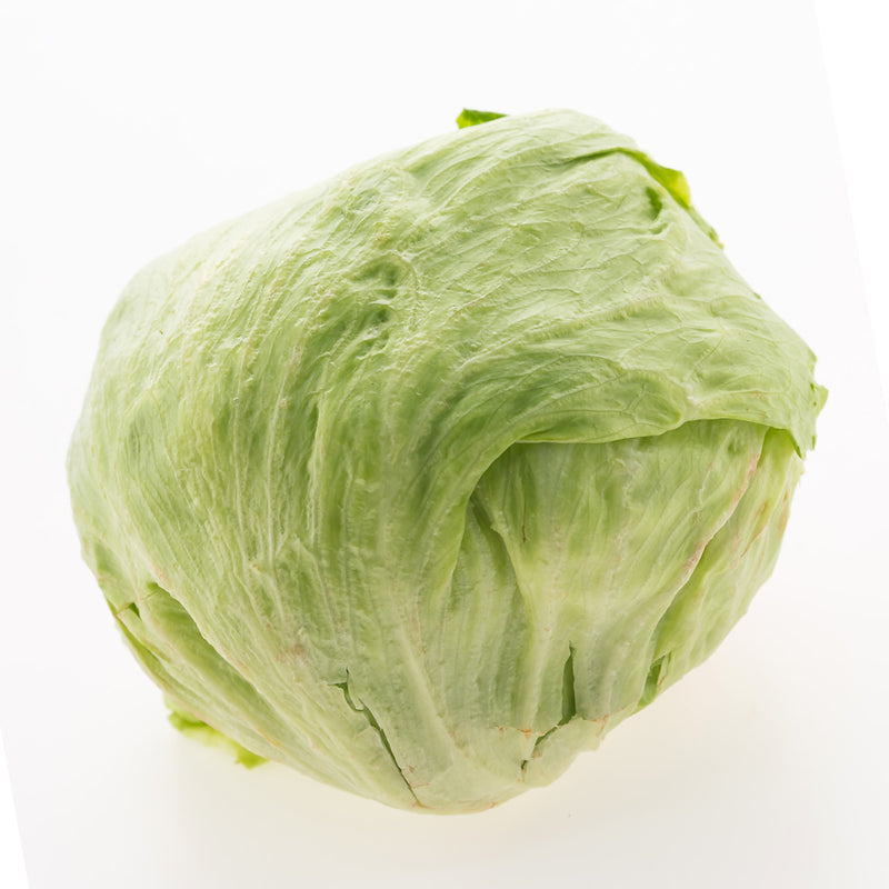 Iceberg Lettuce