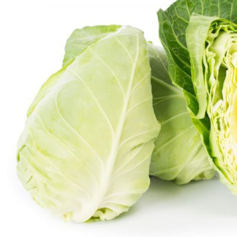 Sweetheart Cabbage