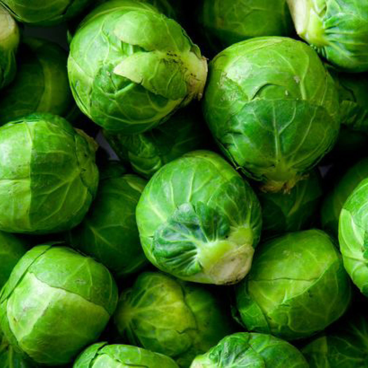 Brussel Sprouts