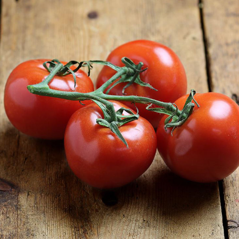 Vine Tomatoes