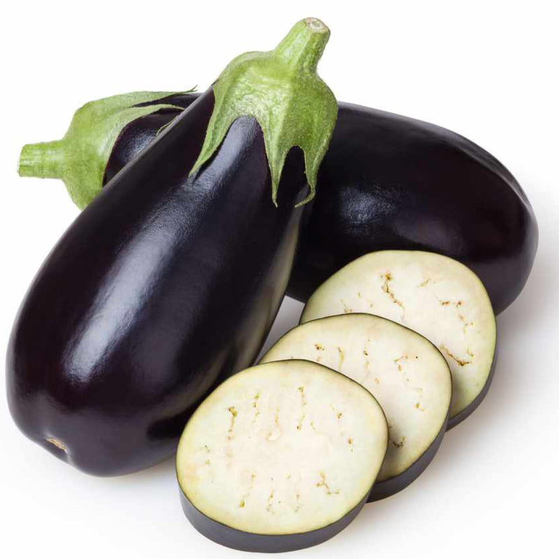 Aubergine