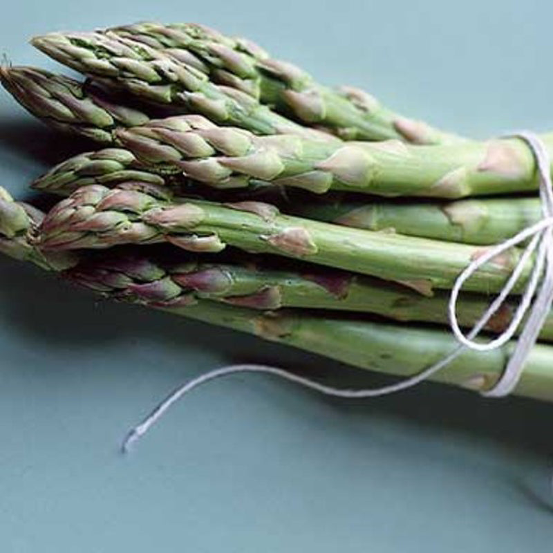 Yorkshire Asparagus