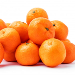 Satsuma/Clementine Net