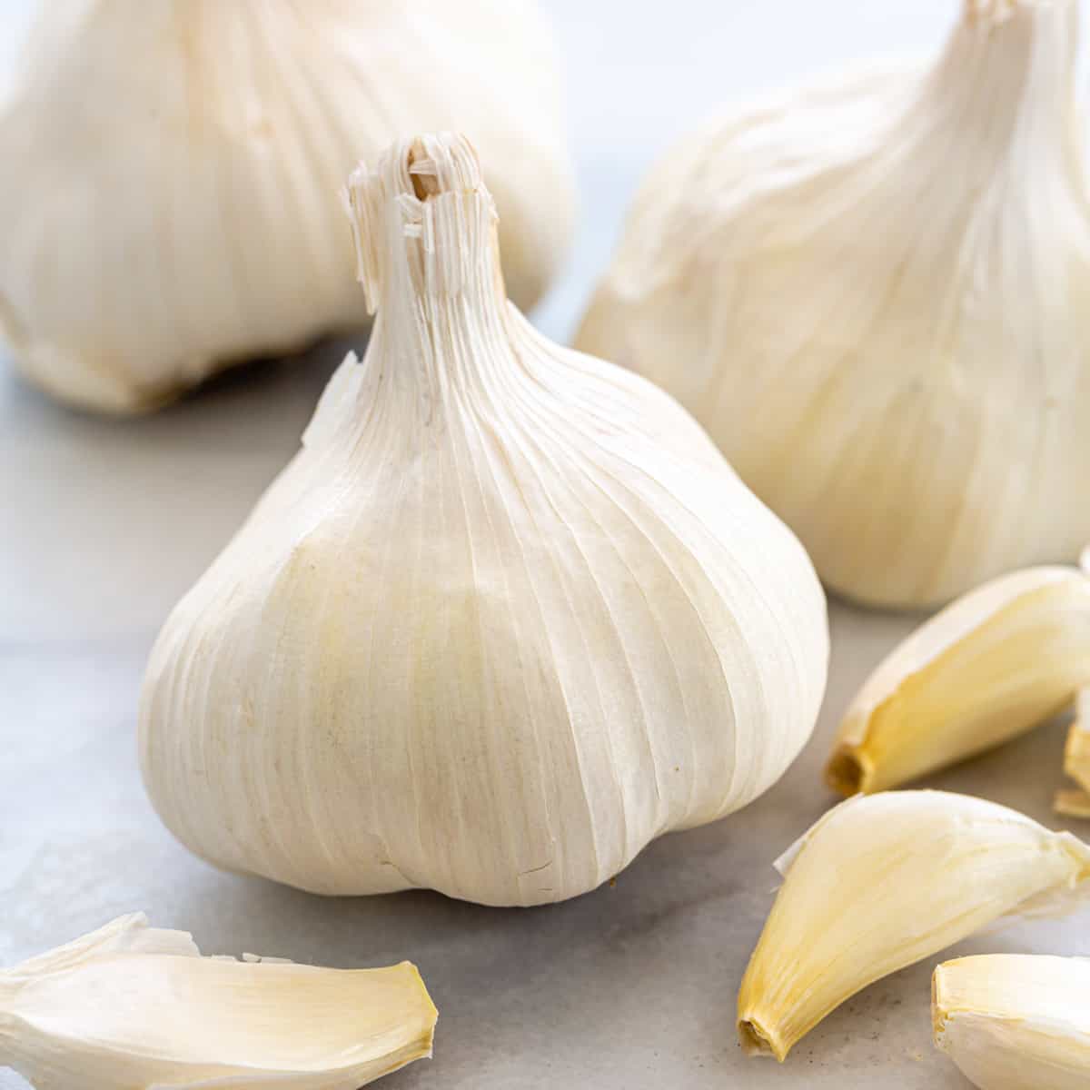 GARLIC