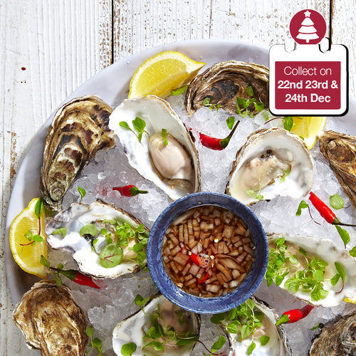 Oyster Kit