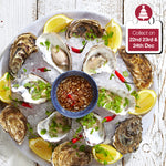 Oyster Kit